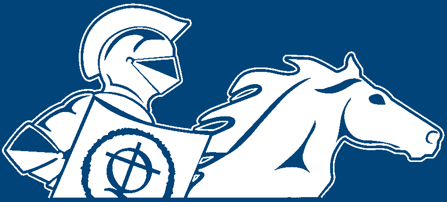 Horse white on blue